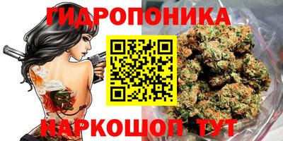 скорость Заводоуковск