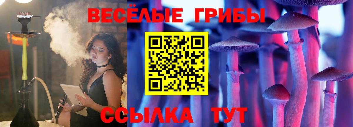 Галлюциногенные грибы GOLDEN TEACHER Гудермес
